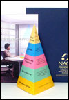 careerpyramid