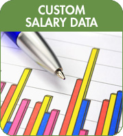 custom salary data