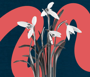 assessments-and-coaching module - flowers