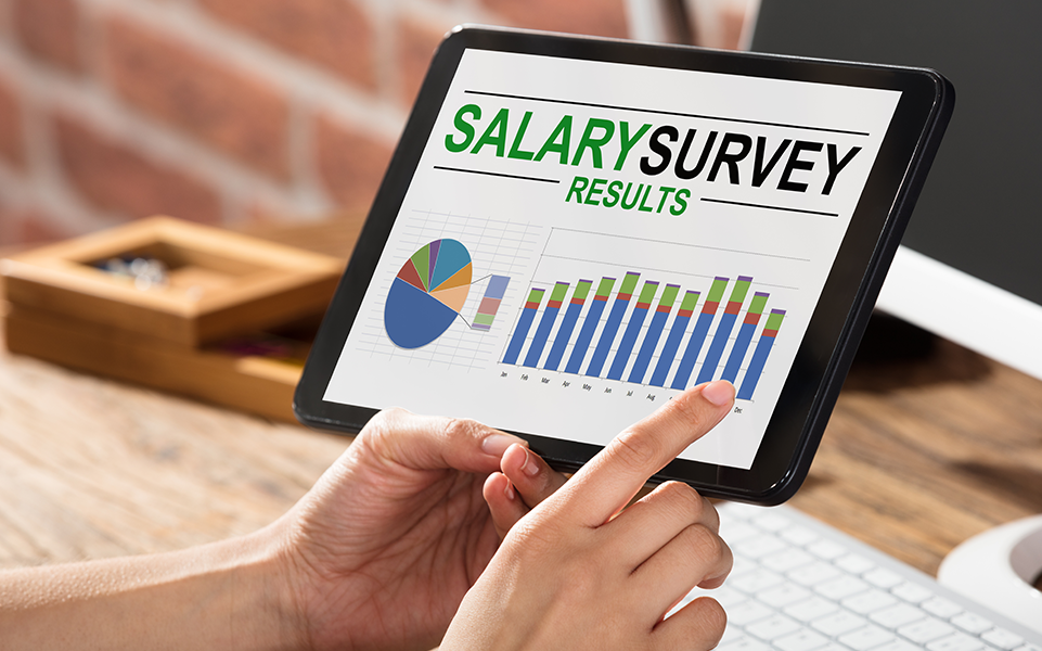An HR professional examines results from NACE's Salary Survey.