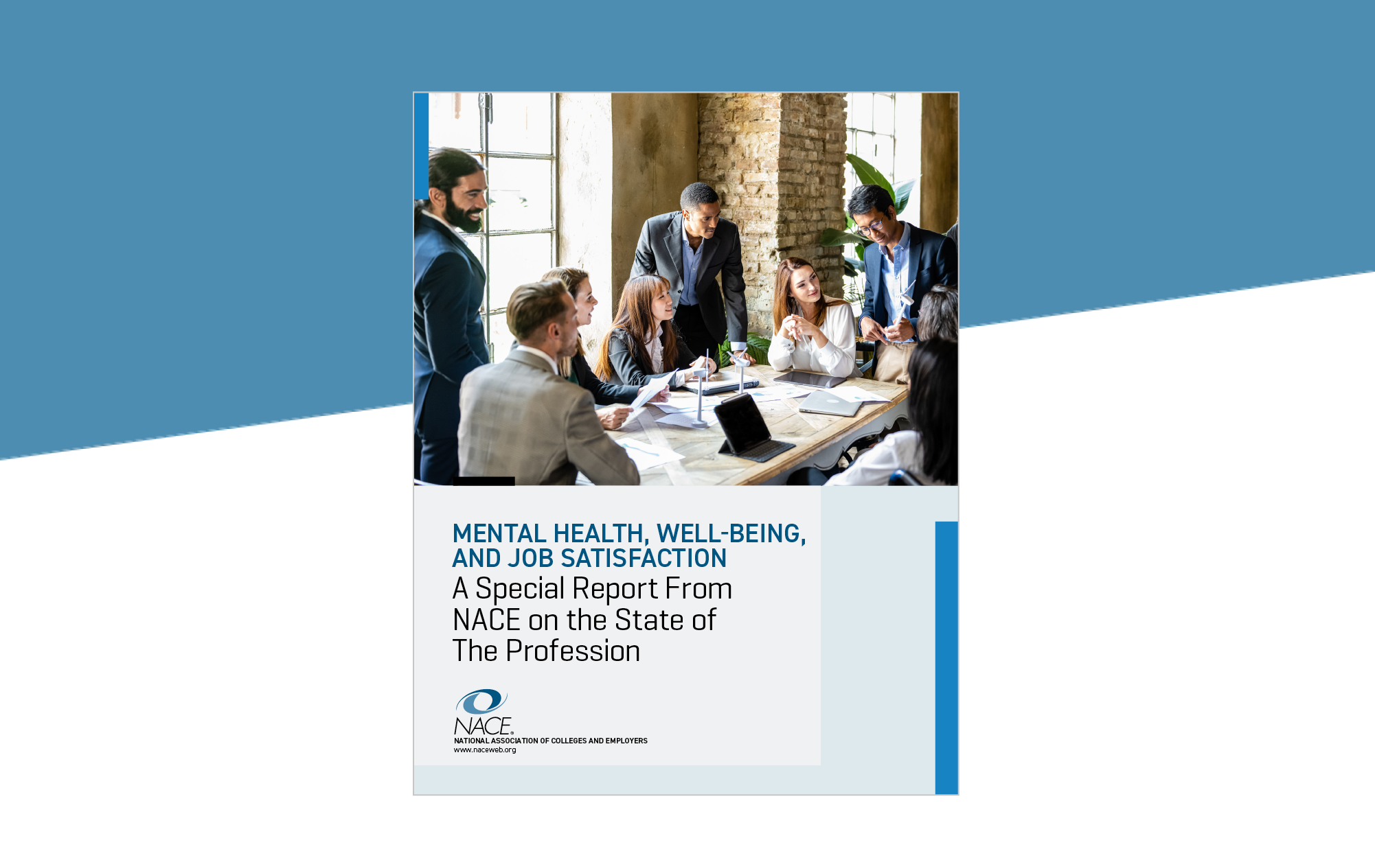 Mental Health, Well-Being, and Job Satisfaction: A Special Report From NACE
