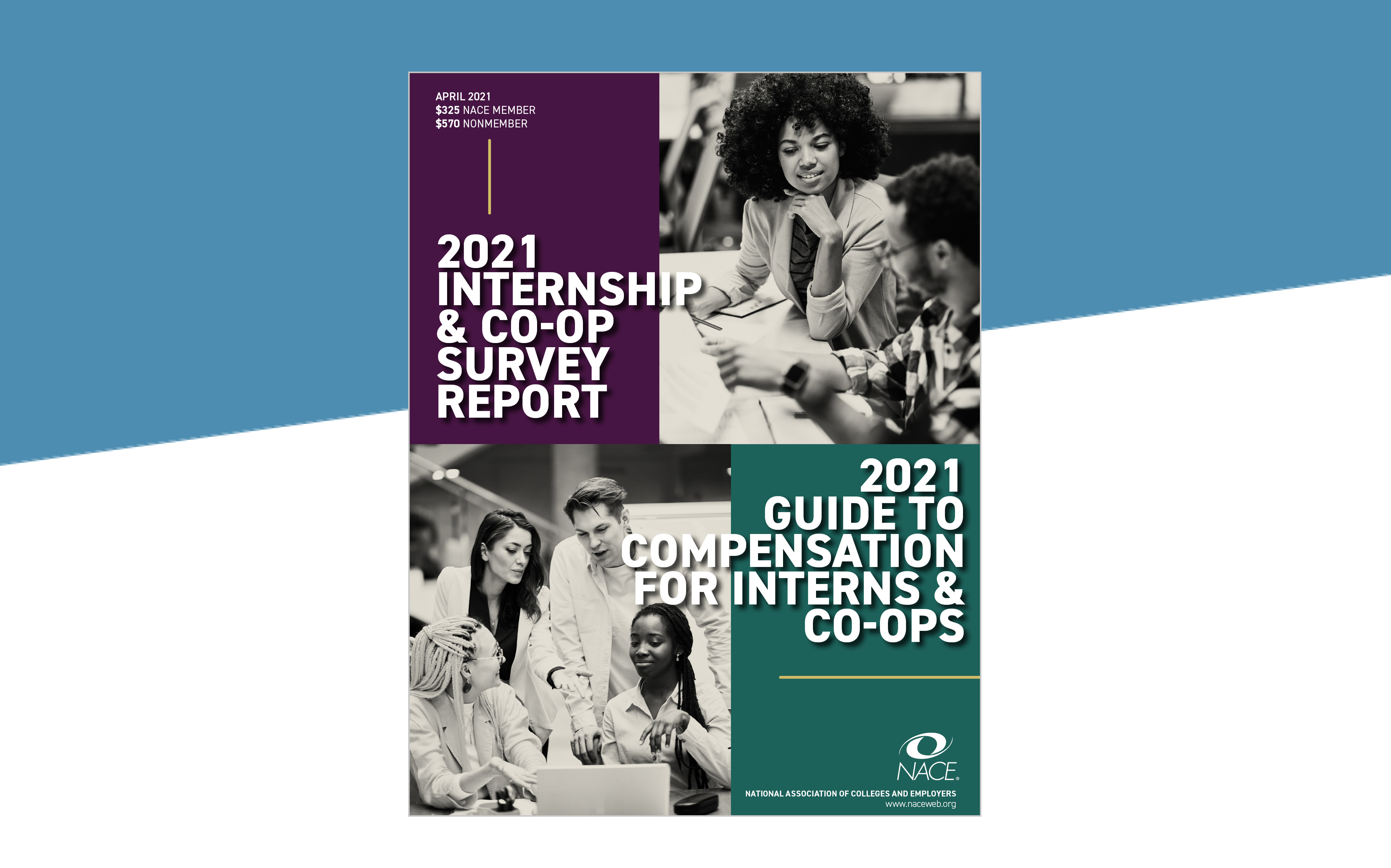 Internship Survey & Compensation Guide Combo 2021